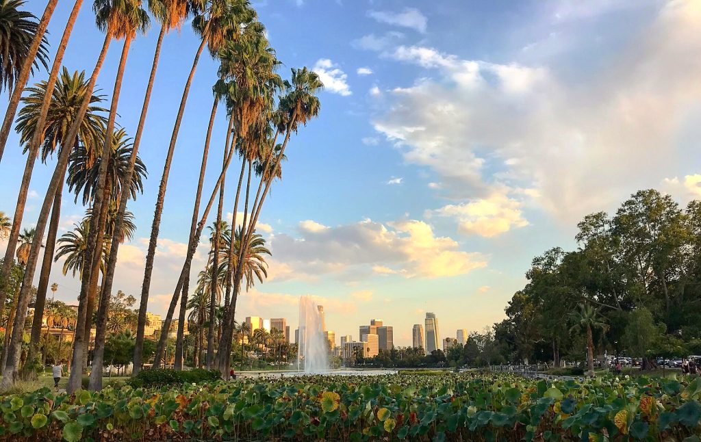 Echo park lake with lotus flowers and Los Angeles skyline in the background