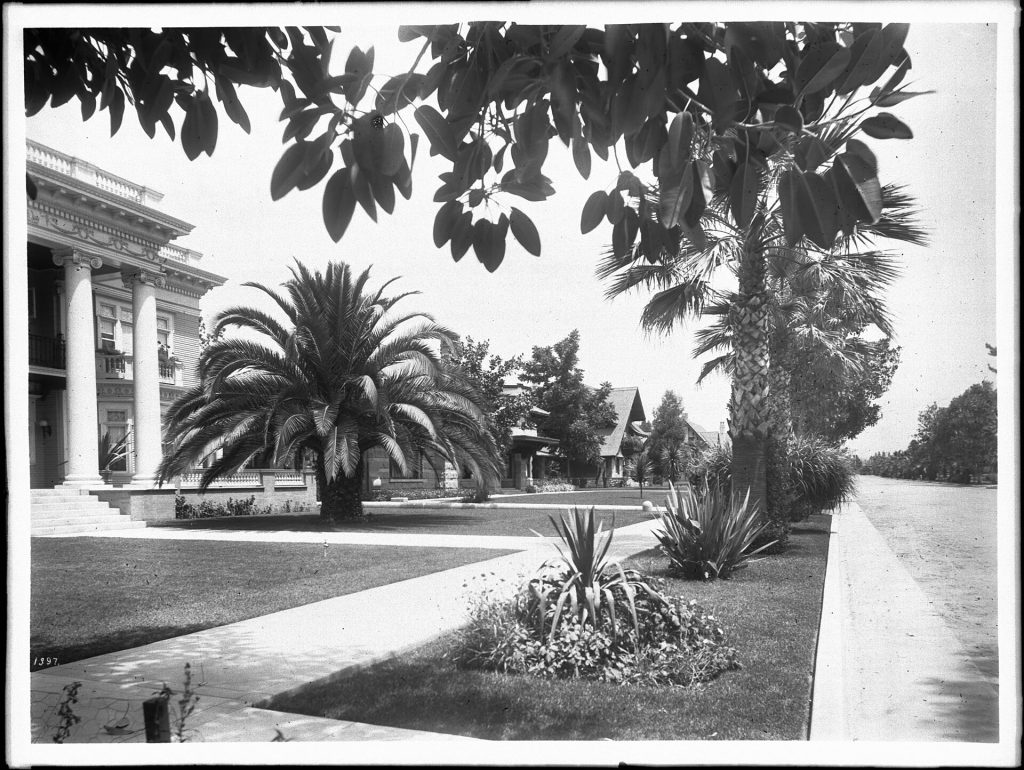 Palm trees and large homes on Chester Place in Los Angeles, 1905 (CHS-1397)