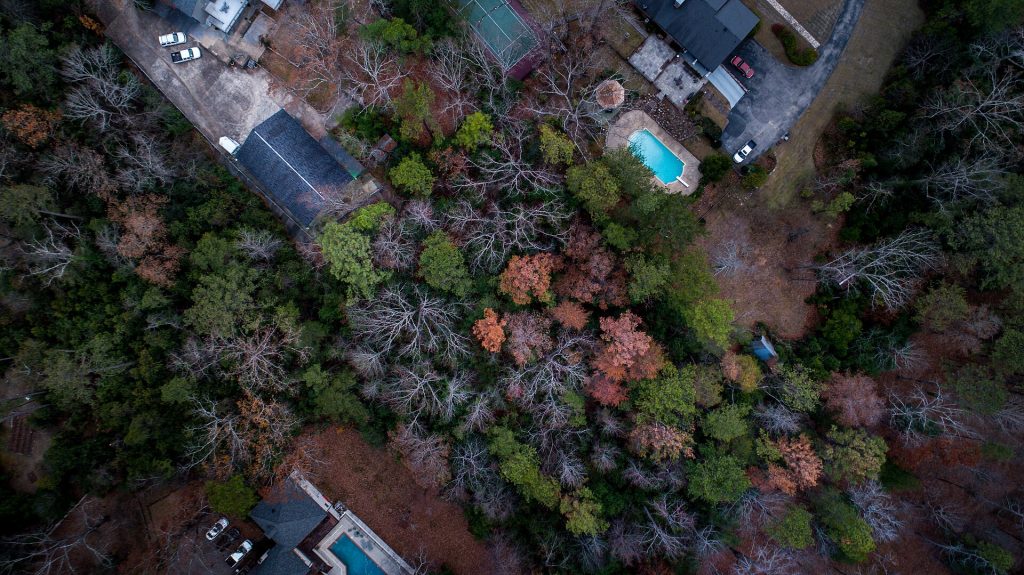 Suburban houses near a forest (Unsplash)