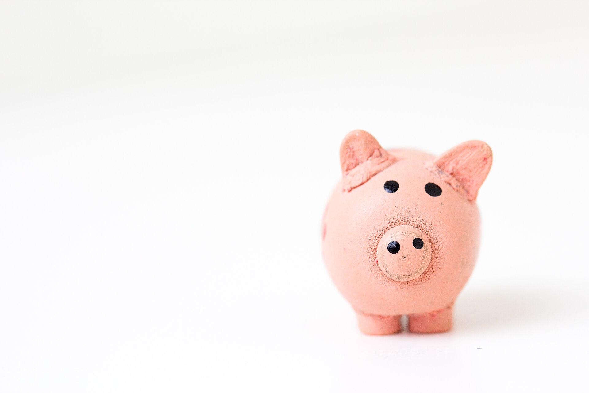 Cute piggy bank (Unsplash)